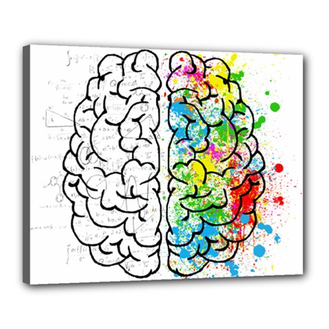 Brain-mind-psychology-idea-drawing Canvas 20  X 16  (stretched) by Jancukart