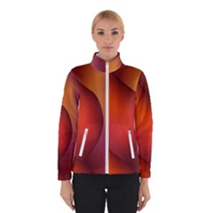 Hd-wallpaper-b 008 Women s Bomber Jacket by nate14shop