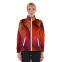 Hd-wallpaper-b 008 Women s Bomber Jacket View1