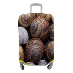 Snail Shells Pattern Arianta Arbustorum Luggage Cover (small) by artworkshop