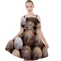 Snail Shells Pattern Arianta Arbustorum Cut Out Shoulders Chiffon Dress View1