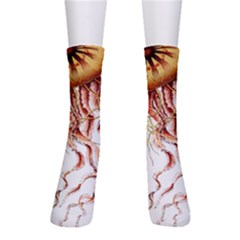 Animal Art Forms In Nature Jellyfish Crew Socks by Sapixe