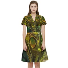 Chameleon Reptile Lizard Animal Short Sleeve Waist Detail Dress by Wegoenart