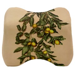 A Vintage Bunch Of Lemons Velour Head Support Cushion by ConteMonfrey