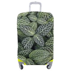 Leaves Foliage Botany Plant Luggage Cover (medium) by Ravend