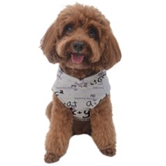 Pattern Wallpaper Math Formula Albert Einstein Dog Sweater by danenraven