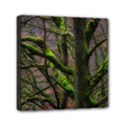 Tree Moss Forest Bark Wood Trunk Mini Canvas 6  x 6  (Stretched) View1