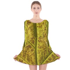 Leaf Structure Texture Background Long Sleeve Velvet Skater Dress by Wegoenart