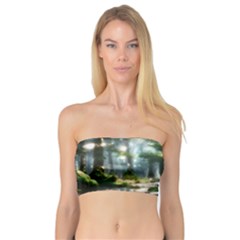 Forest Wood Nature Lake Swamp Water Trees Bandeau Top by Uceng