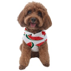 Watermelon Seamless Pattern Dog Sweater by Jancukart