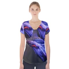 Betta Fish Photo And Wallpaper Cute Betta Fish Pictures Short Sleeve Front Detail Top by StoreofSuccess