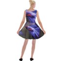 Betta Fish Photo And Wallpaper Cute Betta Fish Pictures Velvet Skater Dress View2