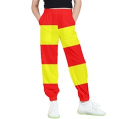 Aust Agder Flag Kids  Elastic Waist Pants by tony4urban