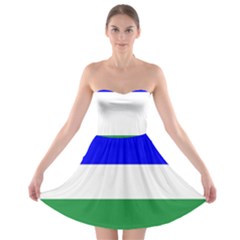 Ladinia Flag Strapless Bra Top Dress by tony4urban