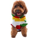 Comoros Dog Coat View1