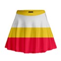 Malopolskie Flag Mini Flare Skirt View1