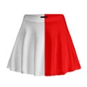 Malta Mini Flare Skirt View1