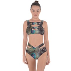 Peacock Bandaged Up Bikini Set 