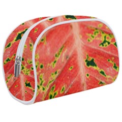 Aglonema Leaf Plant Pattern Flora Make Up Case (medium) by danenraven