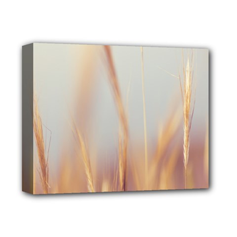 Nature Plants Color Deluxe Canvas 14  X 11  (stretched) by artworkshop