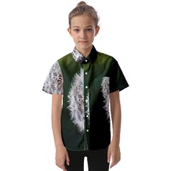 White Flower Kids  Short Sleeve Shirt by artworkshop