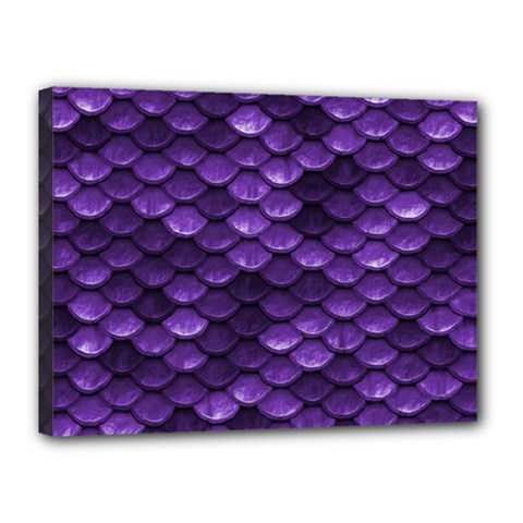 Purple Scales! Canvas 16  X 12  (stretched) by fructosebat