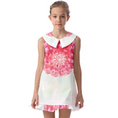 Flower T- Shirtflower T- Shirt Kids  Pilgrim Collar Ruffle Hem Dress by maxcute