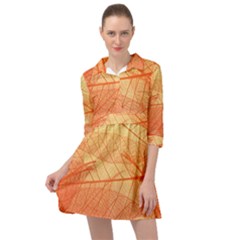 Orange Leaves Colorful Transparent Texture Of Natural Background Mini Skater Shirt Dress by Jancukart