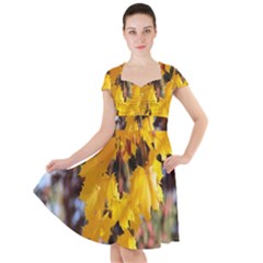 Amazing Arrowtown Autumn Leaves Cap Sleeve Midi Dress by artworkshop