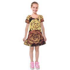 Flowers Roses Plant Bloom Blossom Kids  Short Sleeve Velvet Dress by Ravend