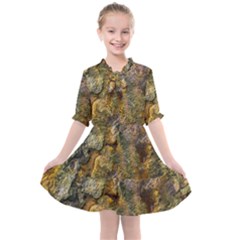 Rusty Orange Abstract Surface Kids  All Frills Chiffon Dress by dflcprintsclothing