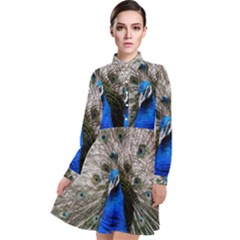 Peacock Bird Animal Feather Nature Colorful Long Sleeve Chiffon Shirt Dress by Ravend