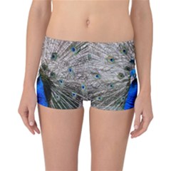 Peacock Bird Animal Feather Nature Colorful Reversible Boyleg Bikini Bottoms by Ravend