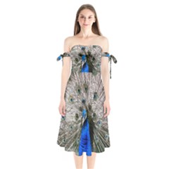 Peacock Bird Animal Feather Nature Colorful Shoulder Tie Bardot Midi Dress by Ravend