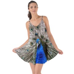 Peacock Bird Animal Feather Nature Colorful Love The Sun Cover Up by Ravend