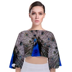 Peacock Bird Animal Feather Nature Colorful Tie Back Butterfly Sleeve Chiffon Top by Ravend