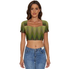 Zig Zag Chevron Classic Pattern Short Sleeve Square Neckline Crop Top  by Celenk