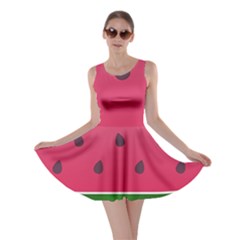 Watermelon Fruit Summer Red Fresh Food Healthy Skater Dress by Wegoenart