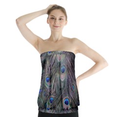 Peacock Feathers Peacock Bird Feathers Strapless Top by Jancukart