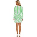 Green Zebra Vibes Animal Print  Long Sleeve Deep V Mini Dress  View4