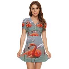 Birds V-neck High Waist Chiffon Mini Dress by Sparkle