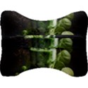 Drink Spinach Smooth Apple Ginger Velour Seat Head Rest Cushion View2