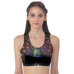 Peacock Feathers Sports Bra by Wav3s