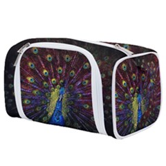 Peacock Feathers Toiletries Pouch by Wav3s