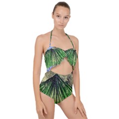 Acrylic Abstract Art Design  Scallop Top Cut Out Swimsuit by Rbudhiya