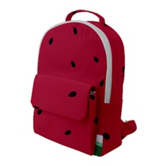 Minimalist Summer Watermelon Wallpaper Flap Pocket Backpack (large) by Ravend