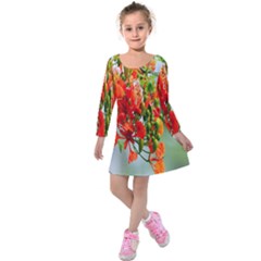 Gathering Sping Flowers Wallpapers Kids  Long Sleeve Velvet Dress by artworkshop