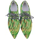 Beautiful Peacock Pointed Oxford Shoes View1