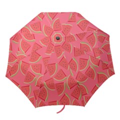 Watermelon Background Watermelon Wallpaper Folding Umbrellas by pakminggu