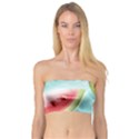 Watermelon Fruit Juicy Summer Heat Bandeau Top View1